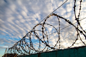 Barbed wire on the fence in the early morning. Background
