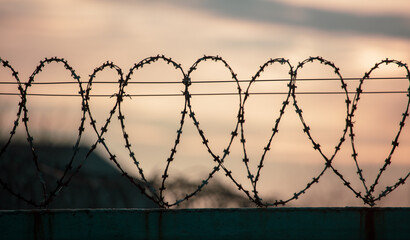 Barbed wire on the fence in the early morning. Background