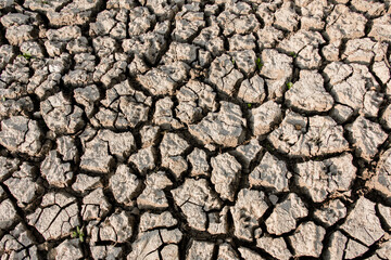 The cracked ground is dry due to the heat of the sun with high temperatures.