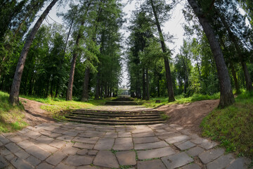 Ascent from the pond along the forest alley to the main building of the Serednikovo estate