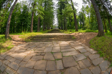 Ascent from the pond along the forest alley to the main building of the Serednikovo estate