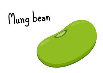 Mung Bean vector. Mung Bean on white background.
