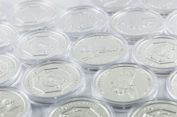 Bullion silver case coins flat lay