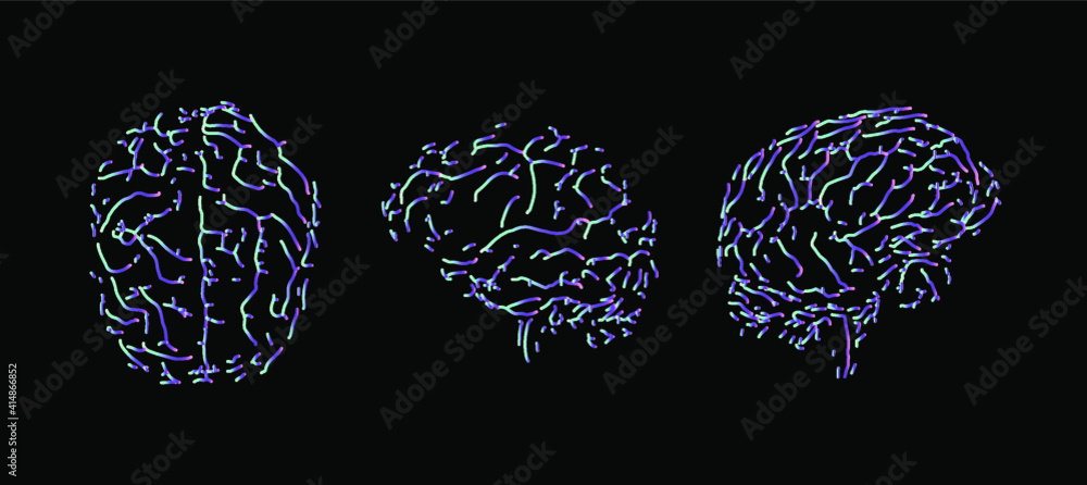 Poster the human brain from the front and side view. mri of ct scan.