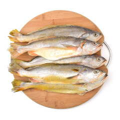 Yellow Croaker Fish On White background 