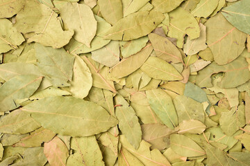 Aromatic bay leaves background
