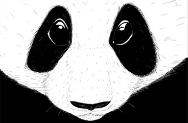 Hand-drawn EPS 8 Vector illustration of cute Panda 3