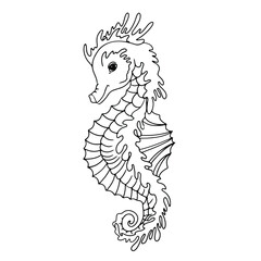 Sea Horse. Hand-drawn marine animal. Sea doodles. Vector illustration isolated on white background