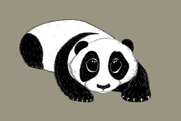 Hand-drawn EPS 8 Vector illustration of cute Panda 4