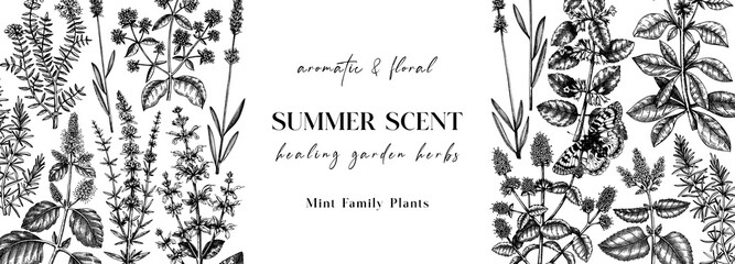 Hand sketched medicinal herbs banner design. Vector mint plants sketches. Vintage summer herbs and wildflowers template. Botanical background with floral elements in engraved style. © sketched-graphics