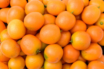 oranges in the market