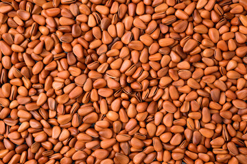 Pine nut background