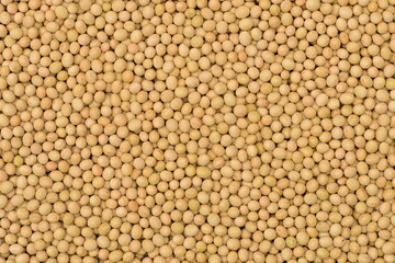 Soybean background