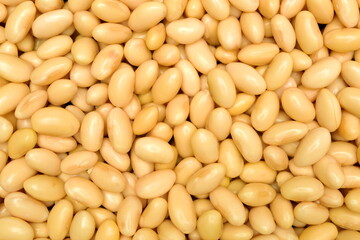 Soybean background