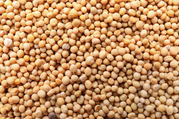 Heap of mustard seeds as background, closeup