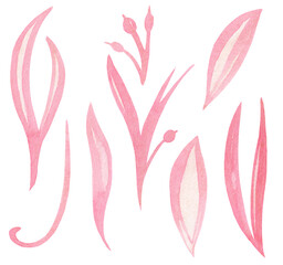 Watercolor pink floral illustration, Leaf and berries.
