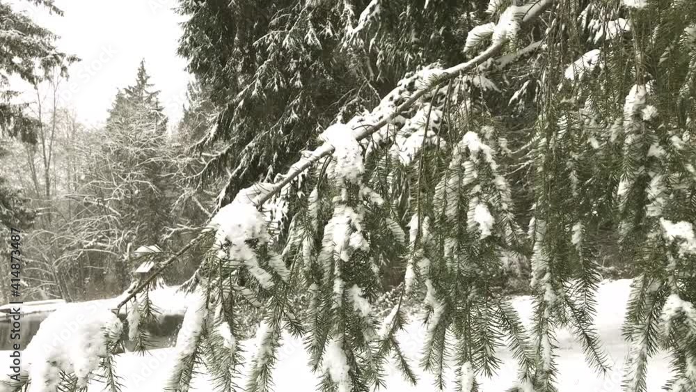 Poster movement of a small branch in the snow.