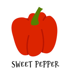 Vector illustration of sweet red pepper in hand drawn flat style.