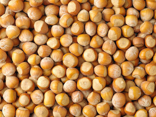 background of hazelnuts