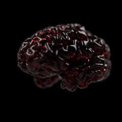 Human brain, isolated anatomy 3d model for science illustration 