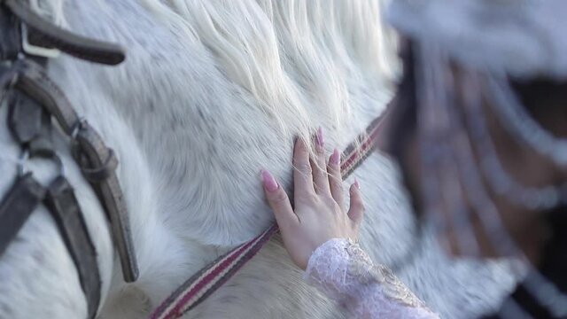 An Asian girl in a national costume is riding a horse. Kyrgyz national costume.