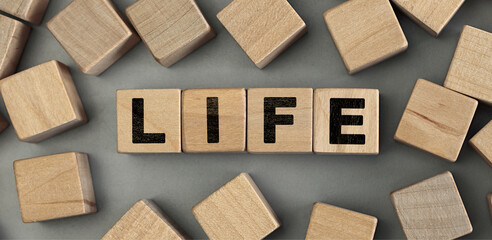 LIFE - word concept from wooden blocks. Top view