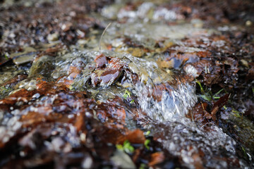 Details with the clear water of a running mountain stream during a cold and sunny winter day in the Romanian Carpathian Mountains.