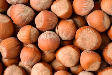 Hazelnuts background