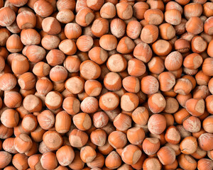 Hazelnuts background