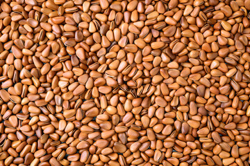 Pine nut background