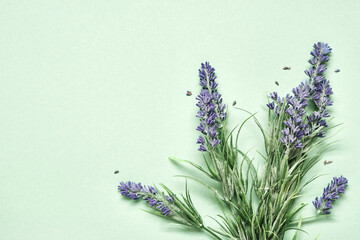 Lavender bouquet on mint green background. Aromatherapy treatment and Skincare spa cosmetics....