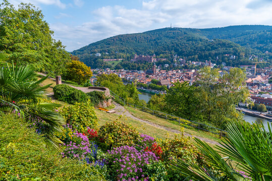 Heidelberg viewed from the Philosophers garden, Germany