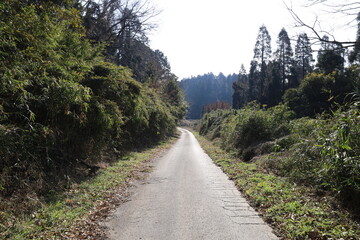 田舎道