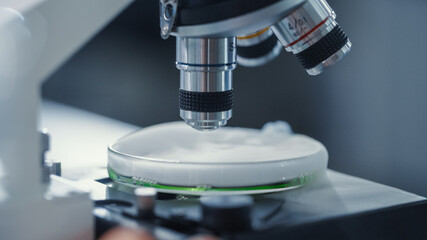 Macro Close Up Shot of a Boiling Green Chemical Liquid Sample in a Petri Dish Under the Microscope. Microbiologist Working in Modern Laboratory with Technological Equipment.