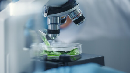 Macro Close Up Shot of a Scientist Mixing Green Chemical Liquid Under the Microscope on a Sample Petri Dish. Microbiologist Working in Modern Laboratory with Technological Equipment.