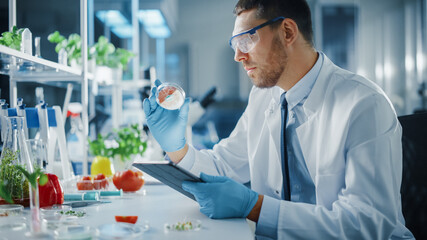 Male Microbiologist Working on Tablet Computer and Examining a Lab-Grown Vegan Meat Sample. Medical Scientist Working on Plant-Based Beef Substitute for Vegetarians in Modern Food Science Laboratory.