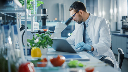 Male Scientist Working on a Laptop Computer and Analyzing a Lab-Grown Tomato Through a Microscope. Microbiologist Working on Molecule Samples in Modern Laboratory with Technological Equipment.