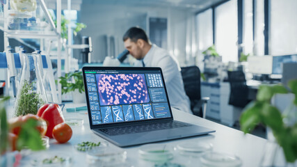 Laptop Computer with Green Screen Mock Up Display on a Table in Scientific Environment. Microbiologist is at Work in the Background in a Bright Modern Food Laboratory with Technological Equipment.