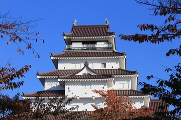 Fototapeta premium 日本の城