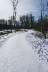 Snowy winter with a path leading forward and trees on both sides