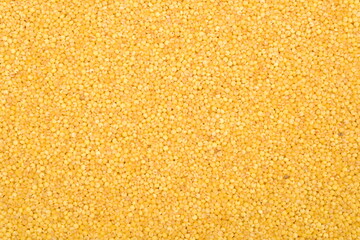 Millet background