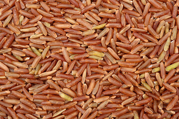 Red rice on white background 