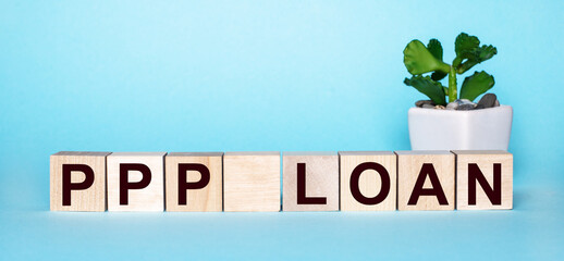 The word PPP LOAN is written on wooden cubes near a flower in a pot on a light blue background