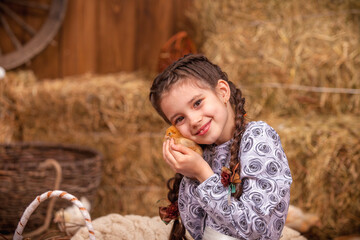 happy girl with pigtails in a dress sits in a nest with Easter eggs and carefully holds cute fluffy chicken in her arms. The pretty girl laughs happily. happy easter