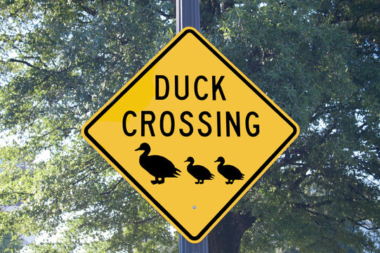 Duck Crossing Sign