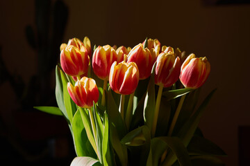Tulpen, Blumenstrauß