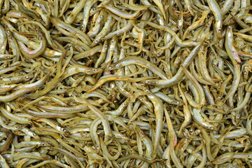 Small dried fishes