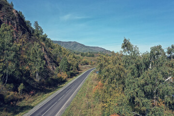 landscape altai russia, autumn top view, drone over the forest