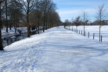 Snowy winter with a path leading forward and trees on both sides
