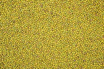 Mung beans background texture, background pattern